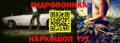 ешки Краснознаменск