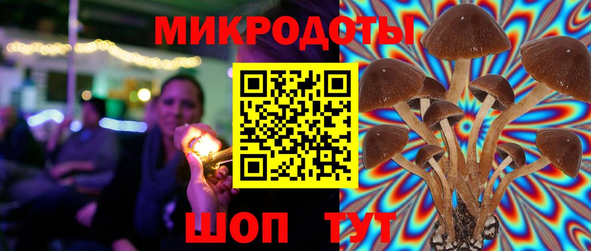 Галлюциногенные грибы MAGIC MUSHROOMS Углич